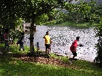 Raking out the elodea water plant