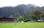 Koolau mountain in the morning mist